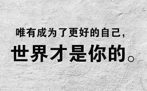 会计个人工作总结700字