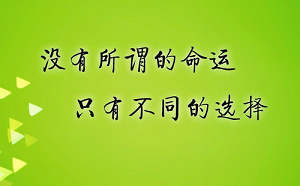 会计实习总结3000字5篇《精华篇》