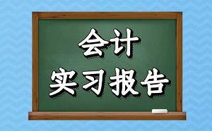 会计实习周记600字