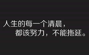 银行会计实习总结800字