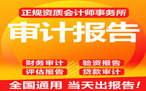 什么是年度财务报表审计报告？是年报吗？